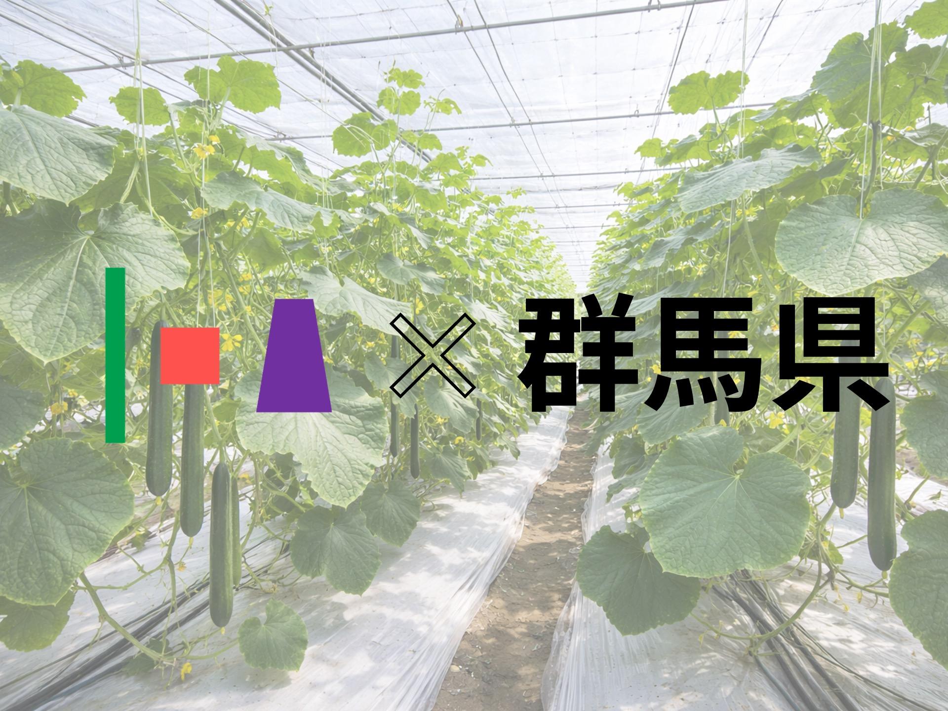 群馬県の「ぐんまAgri×NETSUGEN 共創」実証事業優先交渉者に選定されました